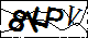 验证码