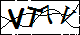 验证码