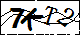 验证码