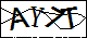 验证码