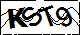 验证码