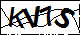 验证码