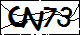 验证码