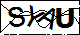 验证码