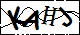 验证码