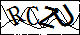 验证码