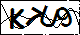 验证码