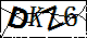 验证码