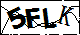 验证码