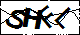验证码