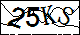 验证码