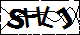 验证码
