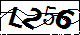 验证码