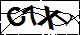 验证码
