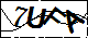 验证码