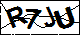 验证码
