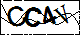 验证码