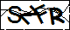 验证码