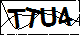 验证码