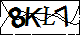 验证码