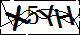 验证码