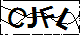 验证码