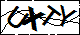 验证码