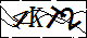 验证码