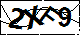 验证码