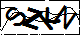 验证码