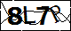 验证码