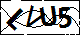 验证码