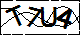 验证码