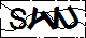 验证码