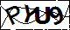 验证码