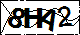 验证码