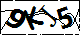 验证码