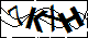 验证码