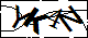 验证码