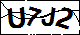 验证码