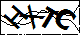 验证码