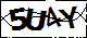 验证码