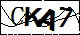 验证码