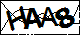 验证码