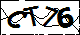 验证码