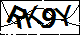 验证码