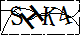 验证码