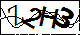 验证码