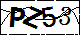 验证码