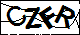 验证码